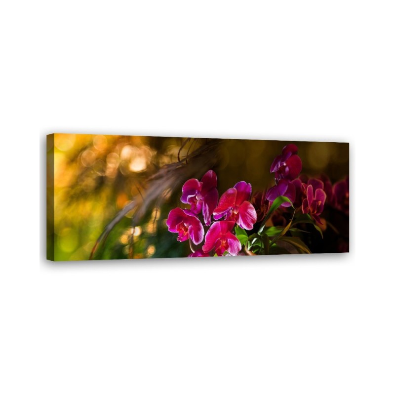 Zen orchid flowers - Image for living room | FEEBY