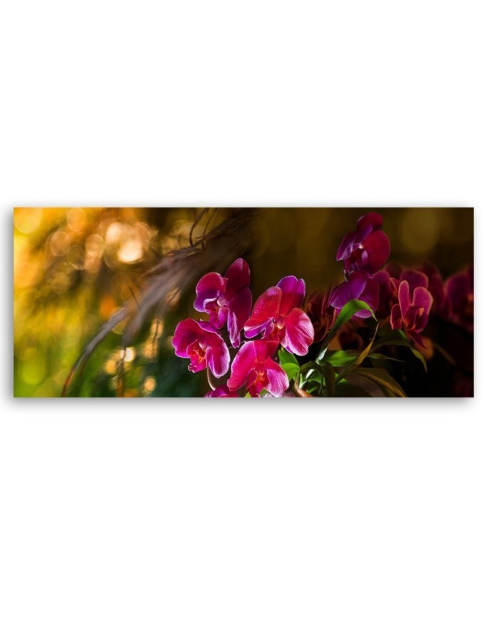 Zen orchid flowers - Image for living room | FEEBY