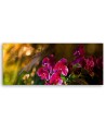 Zen orchid flowers - Image for living room | FEEBY