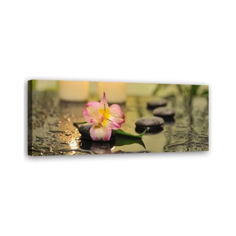 Orchid zen stones - Picture for living room and bedroom | FEEBY