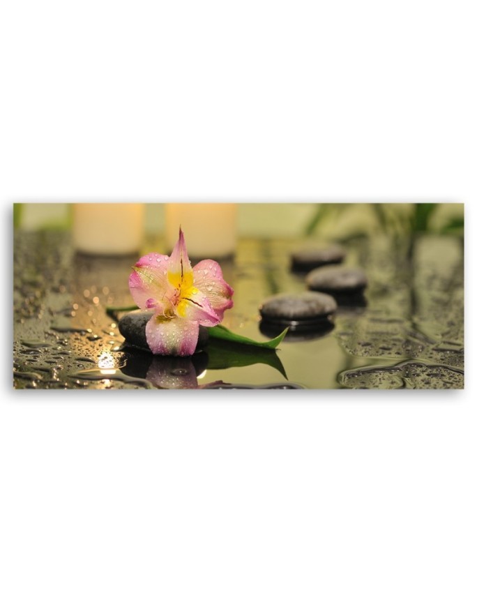 Orchid zen stones - Picture for living room and bedroom | FEEBY