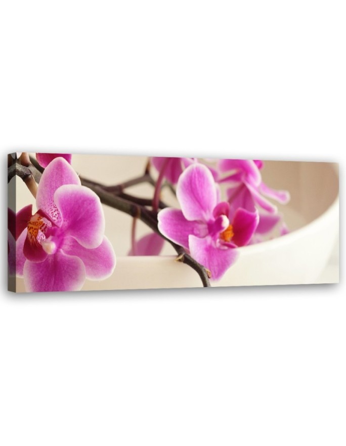 Pink orchid - Canvas painting | FEEBY