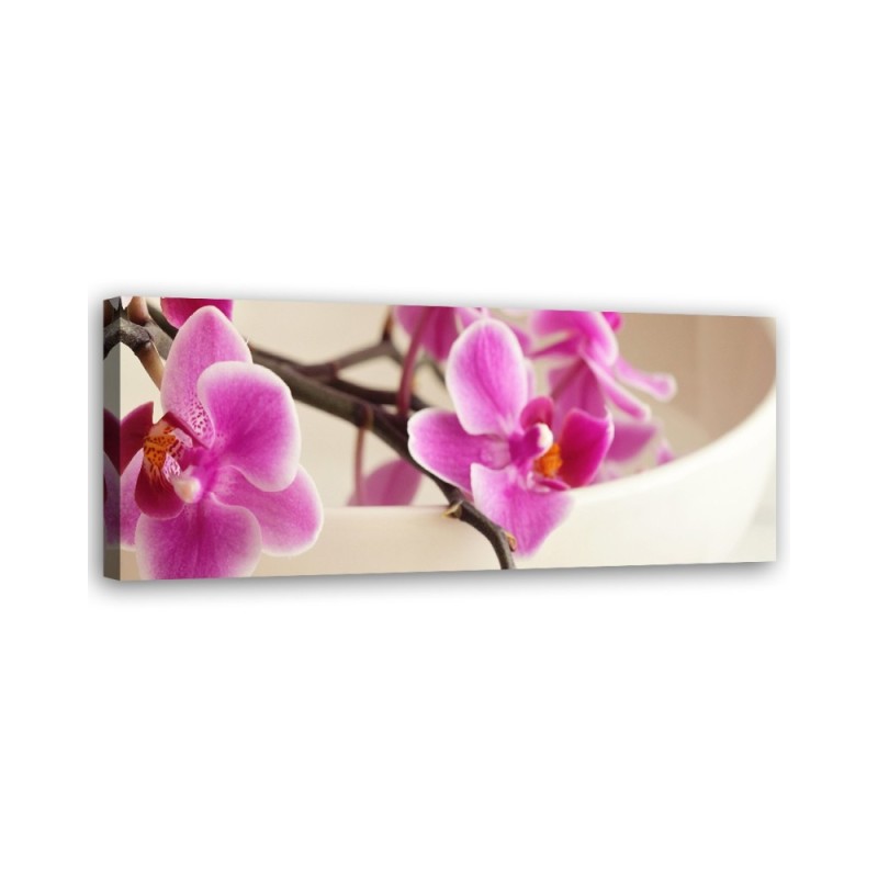 Pink orchid - Canvas painting | FEEBY