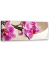 Pink orchid - Canvas painting | FEEBY