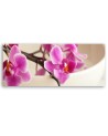 Pink orchid - Canvas painting | FEEBY