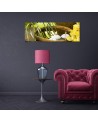 Flowers bamboo zen - Interior design picture | FEEBY