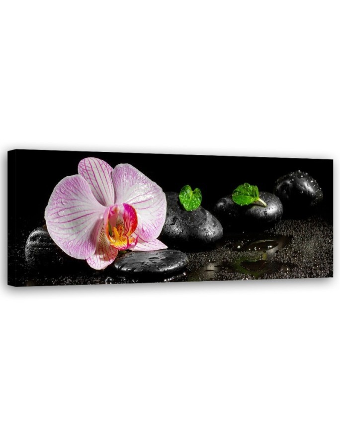Flowering zen orchid - Bedroom wall painting | FEEBY