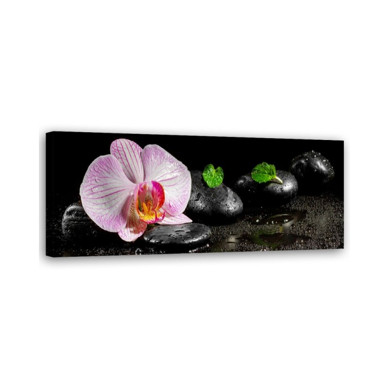Flowering zen orchid - Bedroom wall painting | FEEBY