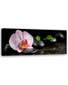 Flowering zen orchid - Bedroom wall painting | FEEBY