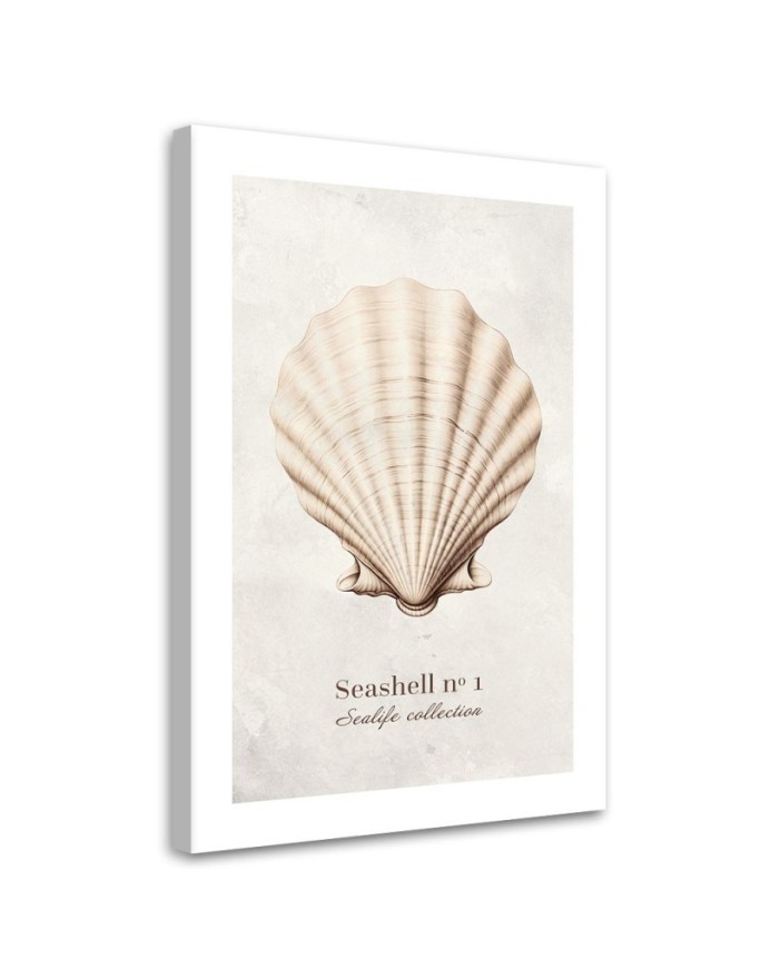 Canvas print for room - Natural shell | FEEBY