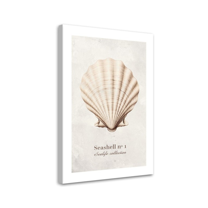 Canvas print for room - Natural shell | FEEBY