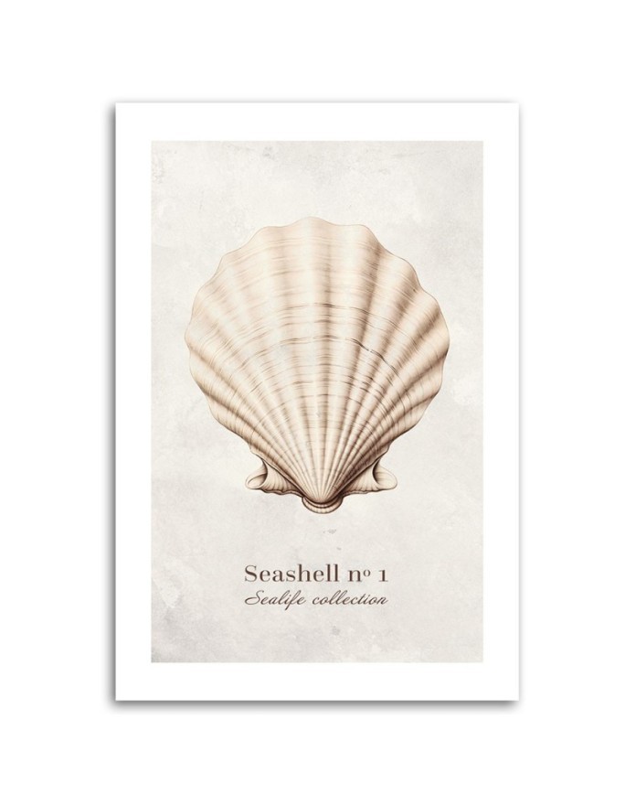 Canvas print for room - Natural shell | FEEBY