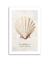 Canvas print for room - Natural shell | FEEBY