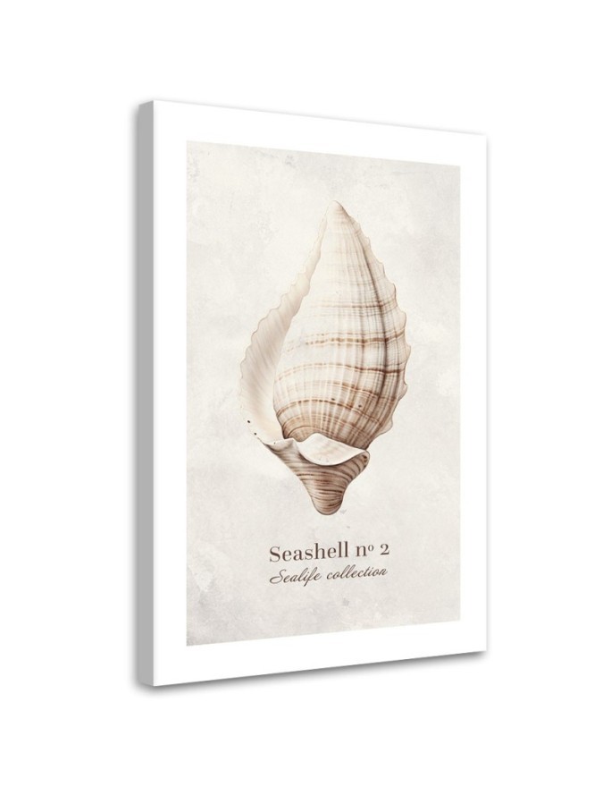 Modern canvas painting - Shell on natural background | FEEBY