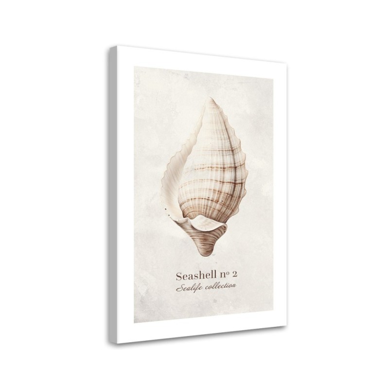 Modern canvas painting - Shell on natural background | FEEBY