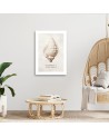 Modern canvas painting - Shell on natural background | FEEBY