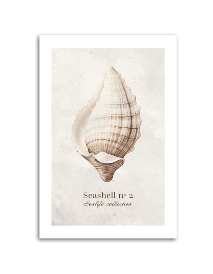 Modern canvas painting - Shell on natural background | FEEBY