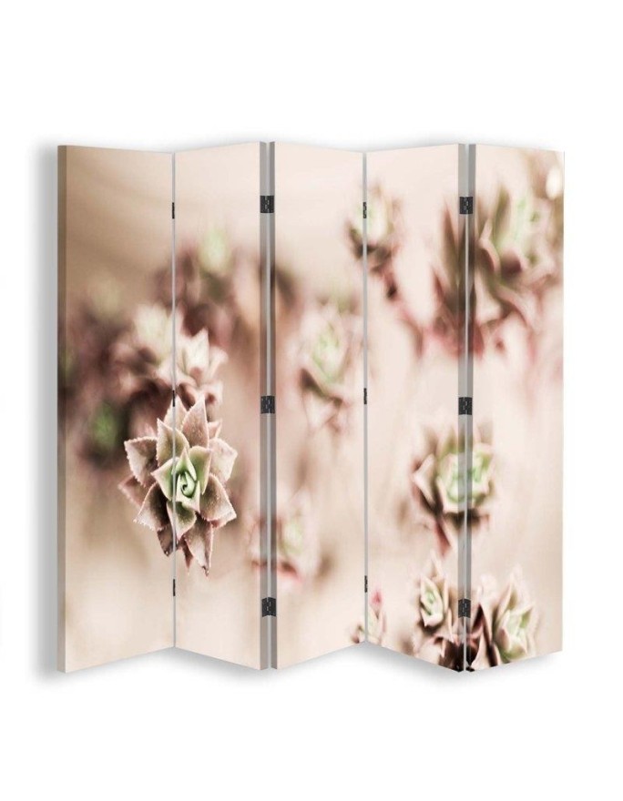 Practical room divider - Succulents on a macro scale | FEEBY