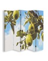 Room divider - Apples on a branch | FEEBY