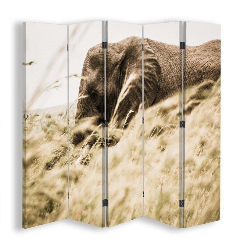 Room divider - Elephant wandering | FEEBY