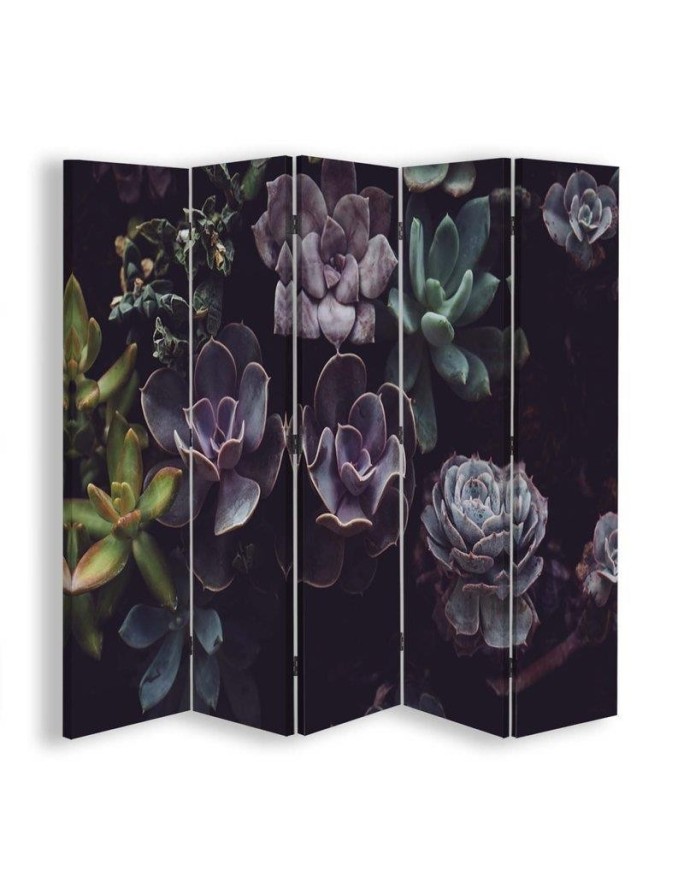 Room Divider Succulents in...
