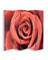 Room divider screen - Rose flower in macro scale | FEEBY