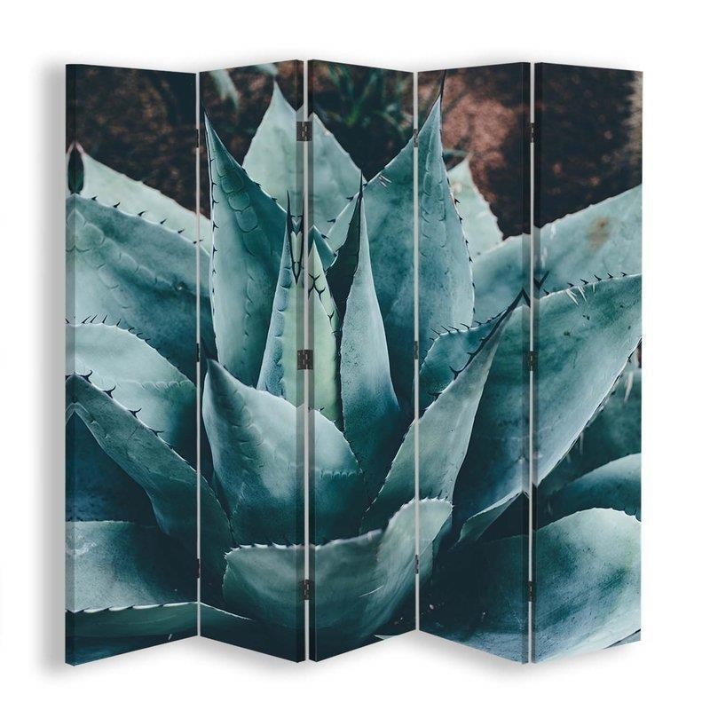 Multipart partition screen - Growing agave | FEEBY