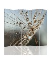 Room divider - Dew in the morning | FEEBY