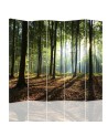Multipart screen - Sunshine in the forest | FEEBY