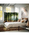 Multipart screen - Sunshine in the forest | FEEBY