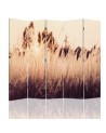 room divider - Tall grasses in sepia | FEEBY