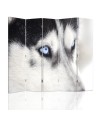 Living room divider - Siberian husky | FEEBY