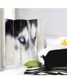 Living room divider - Siberian husky | FEEBY