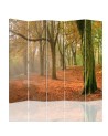 Decorative screen - Autumn in the forest | FEEBY