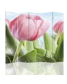 room divider - A plump pink tulip | FEEBY