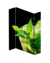room divider for the kitchen - Refreshing mint | FEEBY