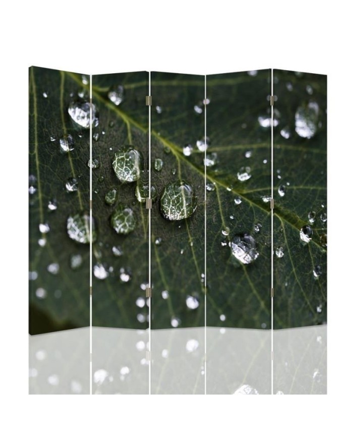 Practical room divider - Raindrops on a leaf | FEEBY