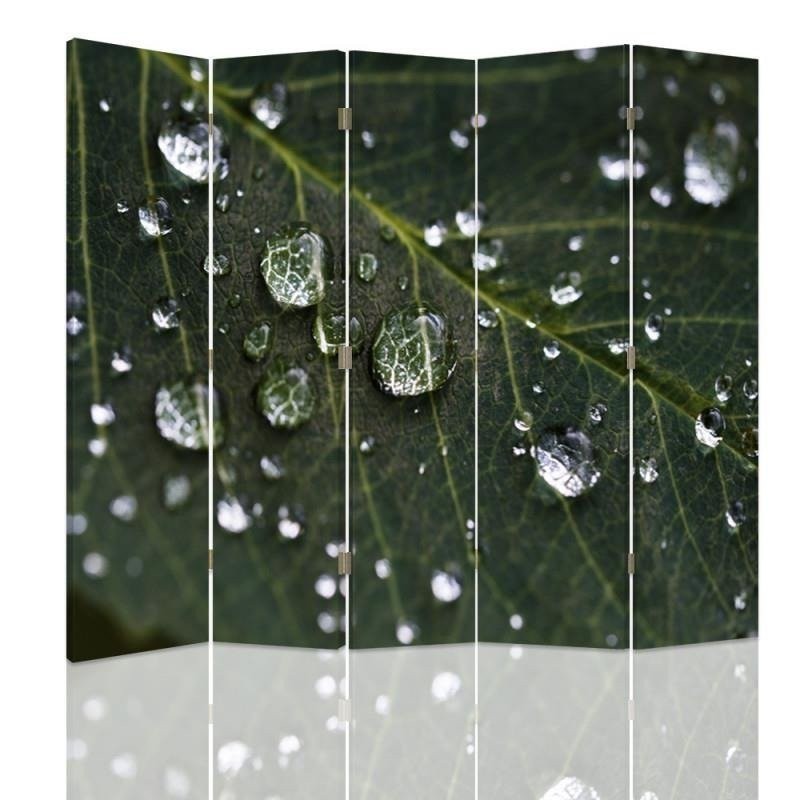 Practical room divider - Raindrops on a leaf | FEEBY