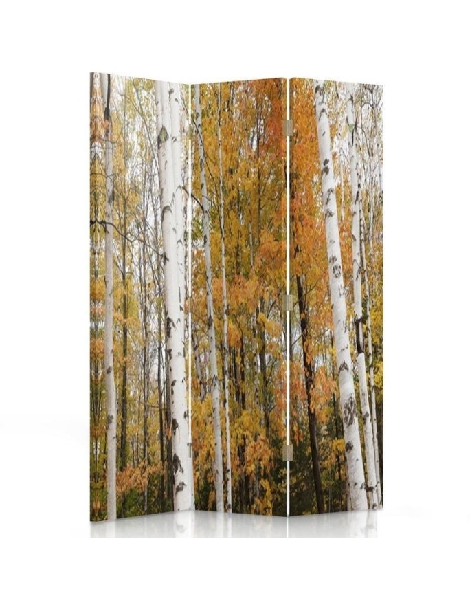 Practical room divider - Birch forest in autumn | FEEBY