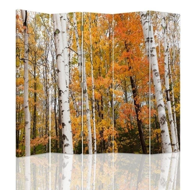 Practical room divider - Birch forest in autumn | FEEBY