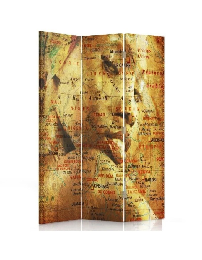 Room Divider Map with...