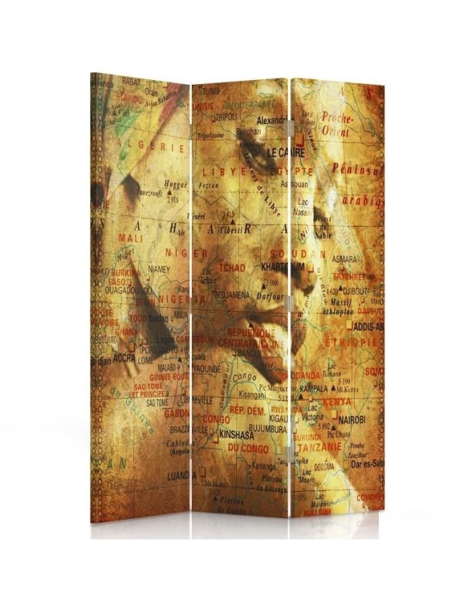 Room divider - Map with portrait of a woman | FEEBY