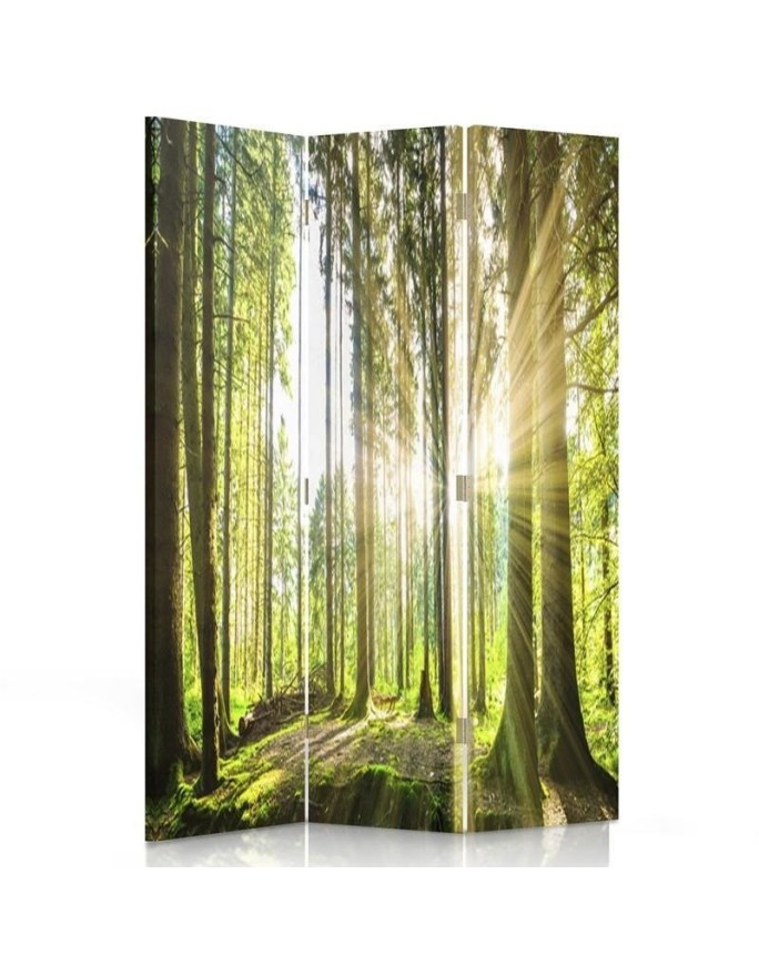 Room Divider Sun in a forest