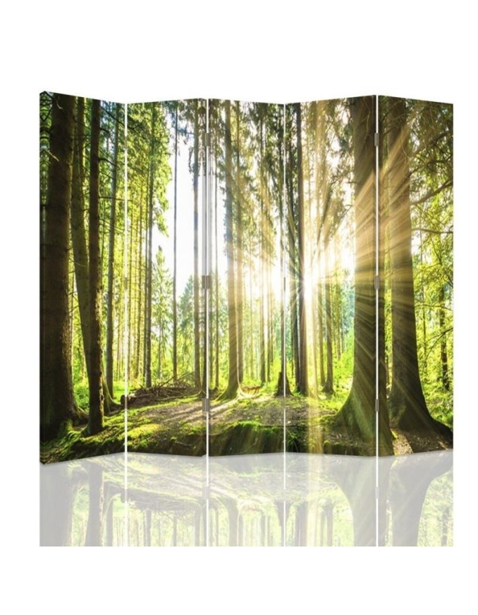 Room divider - Sun in the forest | FEEBY