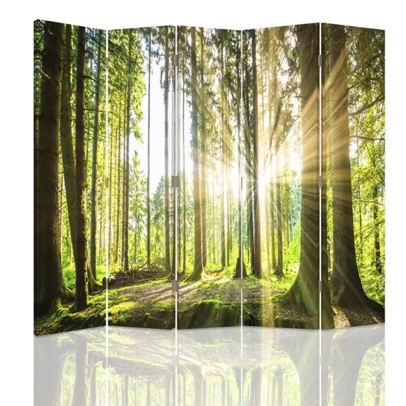 Room divider - Sun in the forest | FEEBY