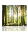 Room divider - Sun in the forest | FEEBY
