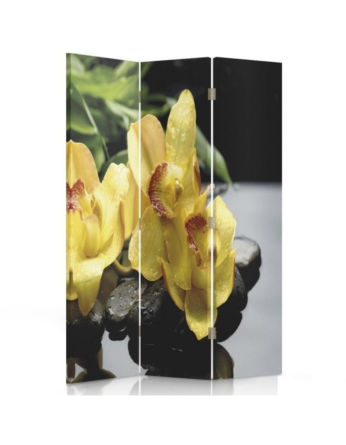 Decorative screen - Black of yellow orchid | FEEBY