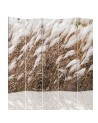 Multipart screen - Pampas grass | FEEBY