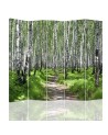 Living room divider - Path through a birch forest | FEEBY