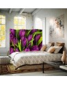 Rotating screen - Purple tulips | FEEBY